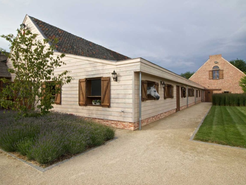 THE ADVENTURE OF ASHFORD FARM Equilife World