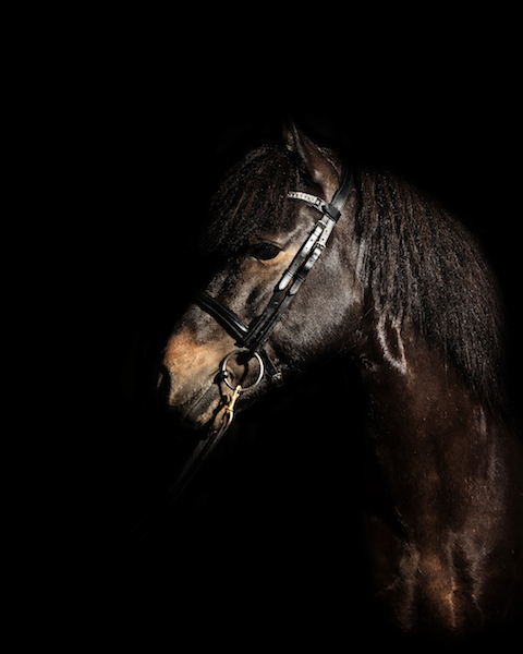 spuni1 copy_brown copy