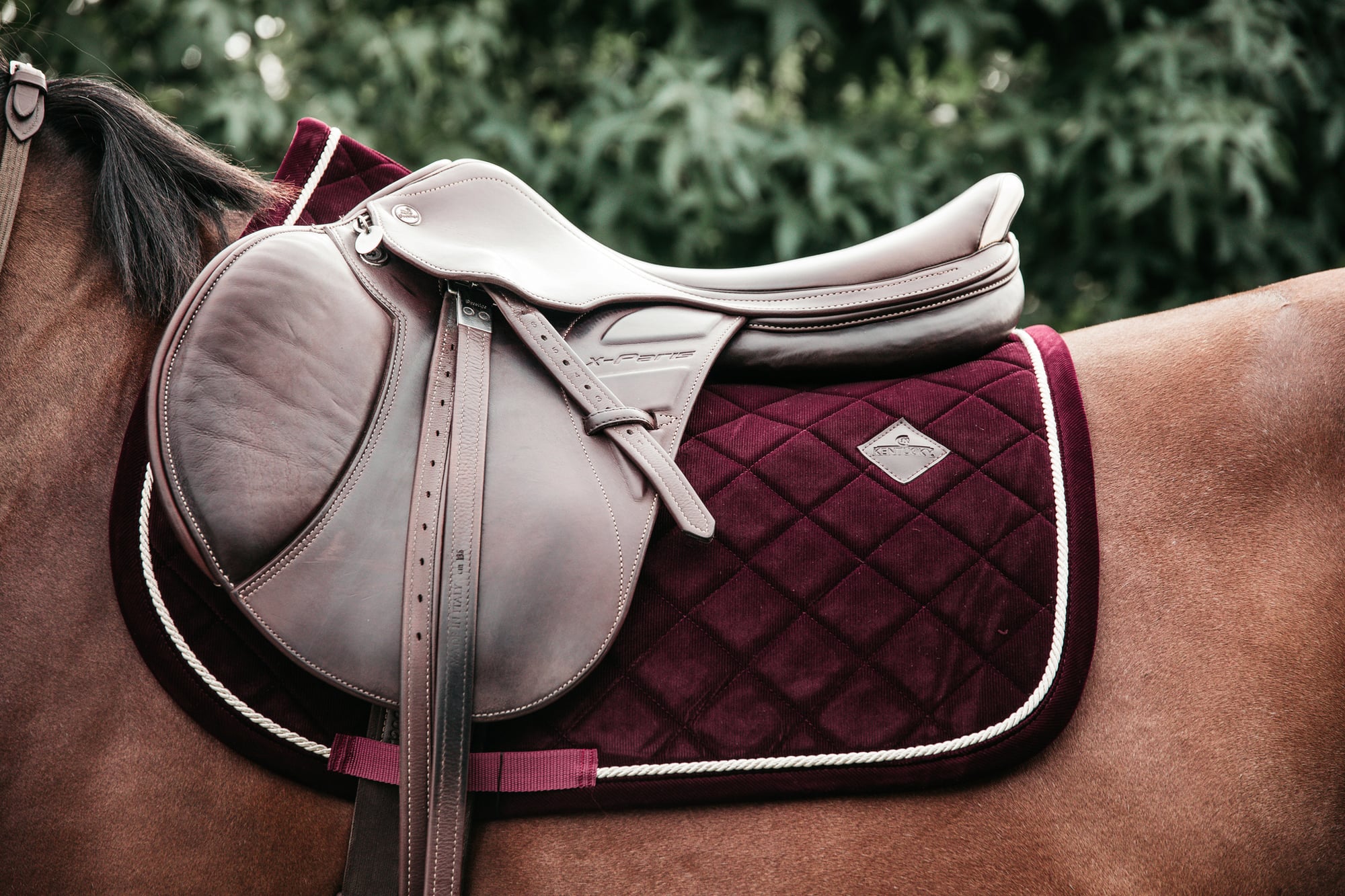 kentuckyhorsewearjumpingsaddlepadcorduroybordo554509en